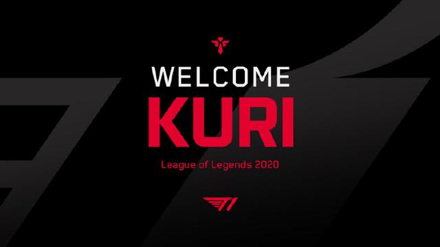 仅是执法层 仅是执法层