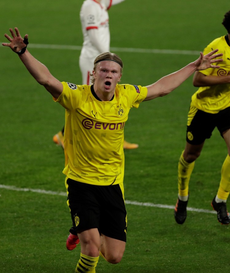 利用沙地阴 利用沙地阴