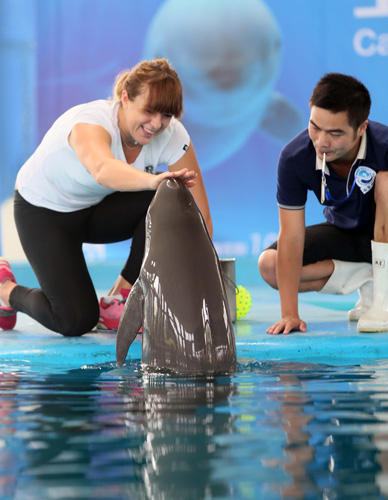 麻将赛事算分规则深度解读